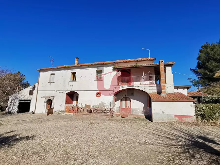 Immagine 1 di Villa in vendita  in Conttrada Recupo snc a Calvi