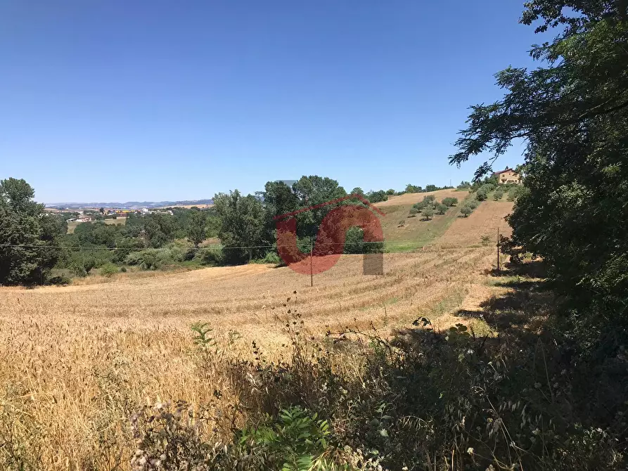 Immagine 5 di Terreno residenziale in vendita  in Perrillo a Sant'angelo A Cupolo
