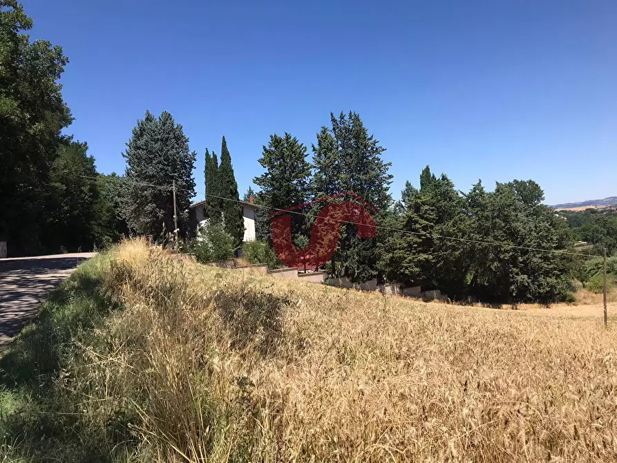 Immagine 7 di Terreno residenziale in vendita  in Perrillo a Sant'angelo A Cupolo
