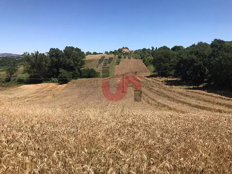 Immagine 8 di Terreno residenziale in vendita  in Perrillo a Sant'angelo A Cupolo