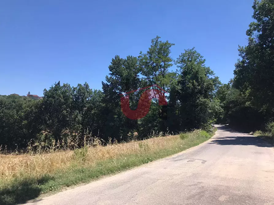 Immagine 9 di Terreno residenziale in vendita  in Perrillo a Sant'angelo A Cupolo