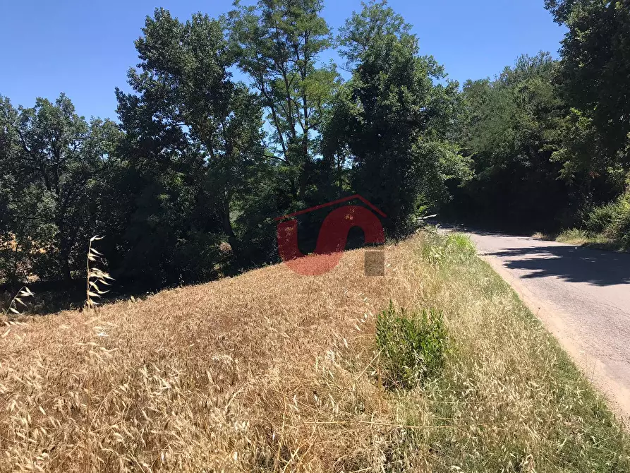 Immagine 10 di Terreno residenziale in vendita  in Perrillo a Sant'angelo A Cupolo