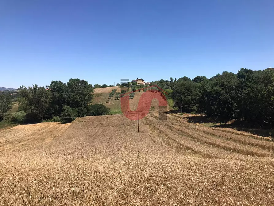 Immagine 11 di Terreno residenziale in vendita  in Perrillo a Sant'angelo A Cupolo
