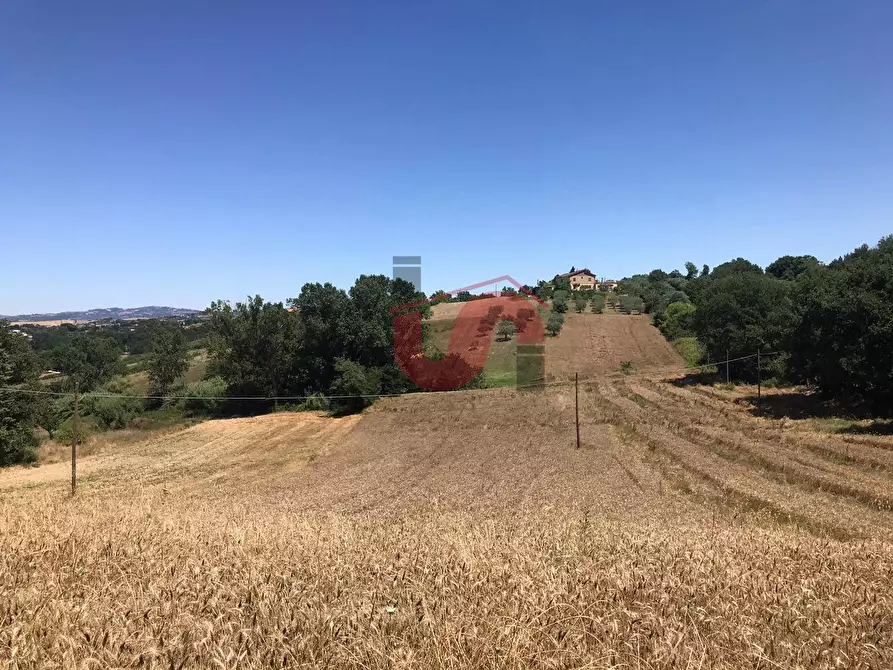 Immagine 12 di Terreno residenziale in vendita  in Perrillo a Sant'angelo A Cupolo
