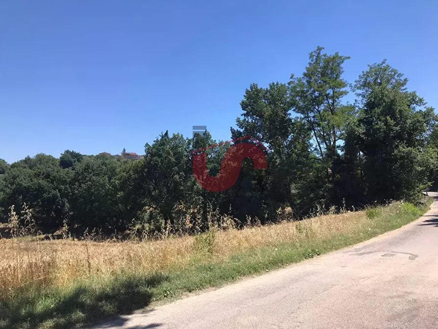 Immagine 3 di Terreno residenziale in vendita  in Perrillo a Sant'angelo A Cupolo