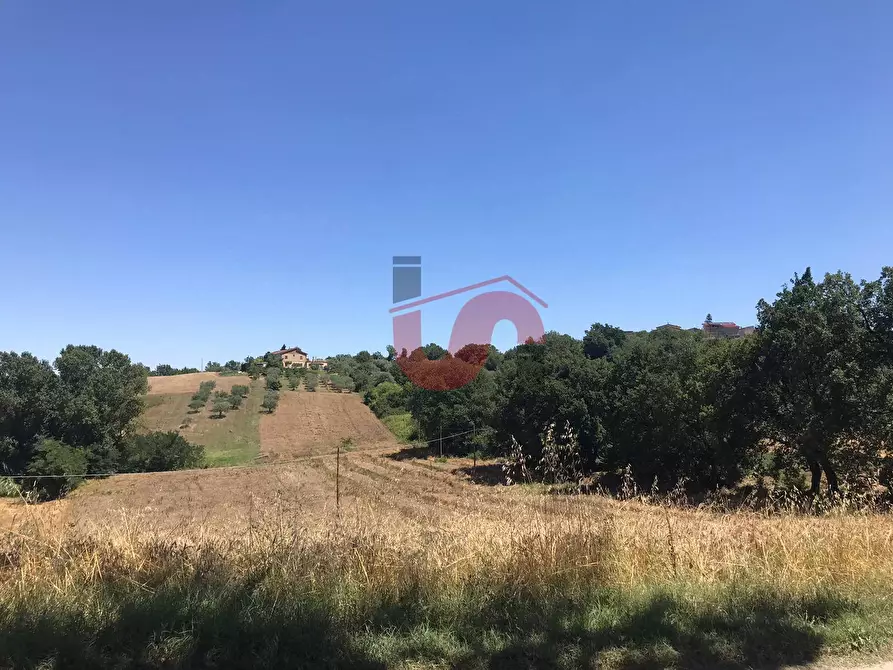 Immagine 14 di Terreno residenziale in vendita  in Perrillo a Sant'angelo A Cupolo