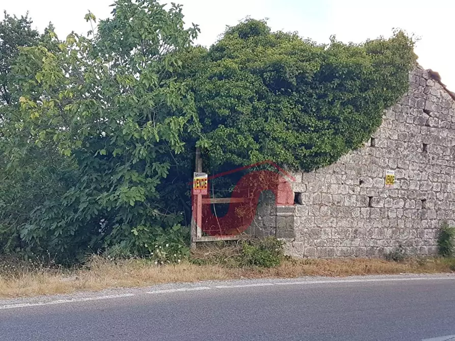 Immagine 3 di Rustico / casale in vendita  in Carpineto a Vitulano