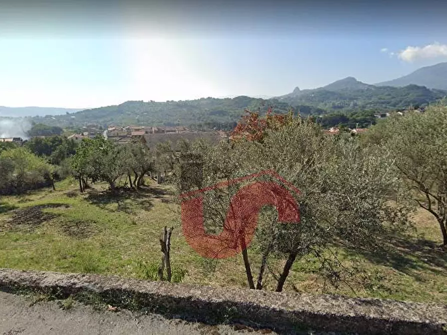 Immagine 2 di Terreno agricolo in vendita  in Via Cupetelle a Cautano