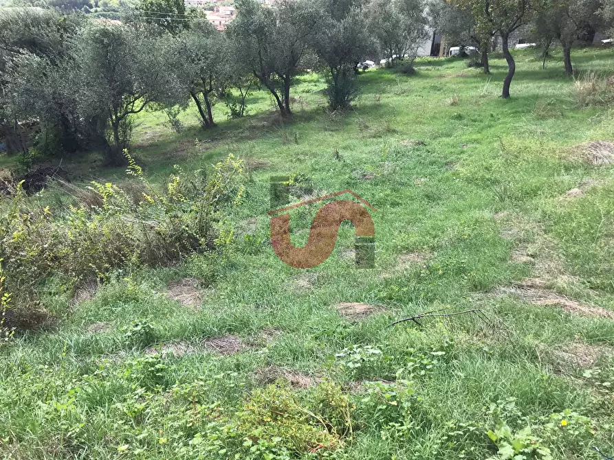 Immagine 5 di Terreno agricolo in vendita  in Via Cupetelle a Cautano