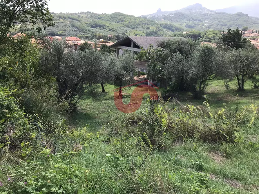 Immagine 6 di Terreno agricolo in vendita  in Via Cupetelle a Cautano