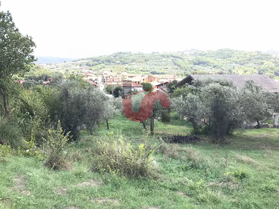 Immagine 7 di Terreno agricolo in vendita  in Via Cupetelle a Cautano