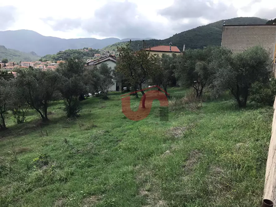 Immagine 11 di Terreno agricolo in vendita  in Via Cupetelle a Cautano