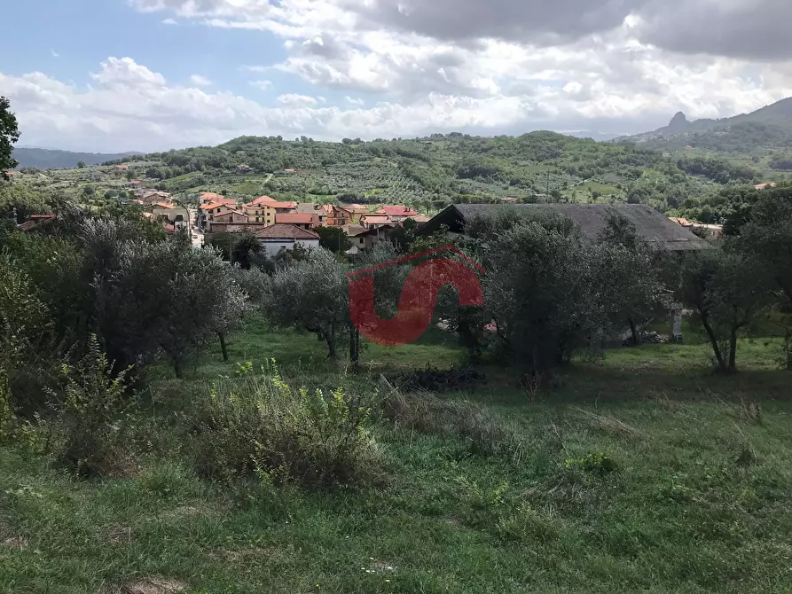 Immagine 8 di Terreno agricolo in vendita  in Via Cupetelle a Cautano