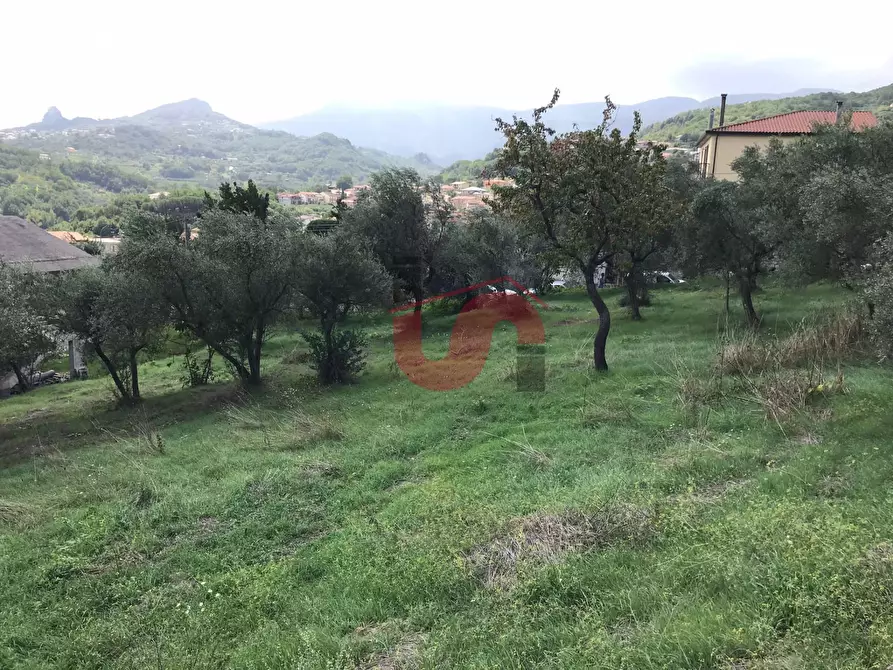 Immagine 3 di Terreno agricolo in vendita  in Via Cupetelle a Cautano