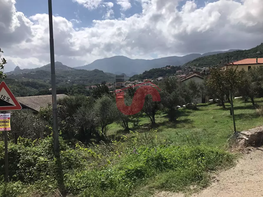 Immagine 10 di Terreno agricolo in vendita  in Via Cupetelle a Cautano