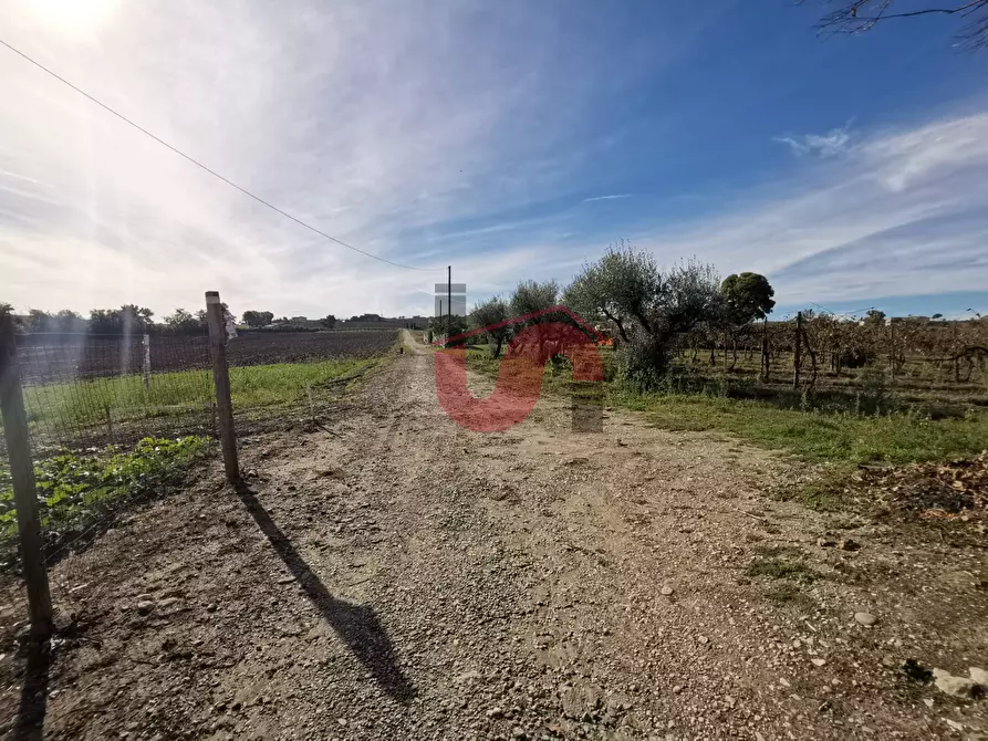 Immagine 46 di Rustico / casale in vendita  in Contrada Paritola snc a Arpaise