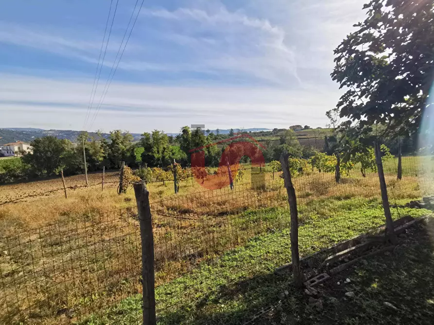 Immagine 57 di Rustico / casale in vendita  in Contrada Paritola snc a Arpaise