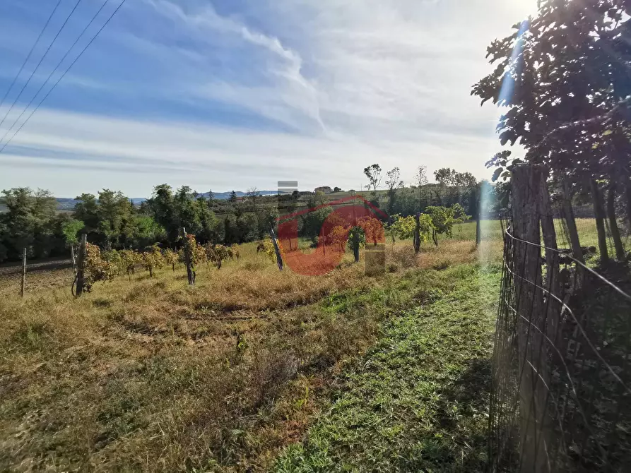 Immagine 58 di Rustico / casale in vendita  in Contrada Paritola snc a Arpaise