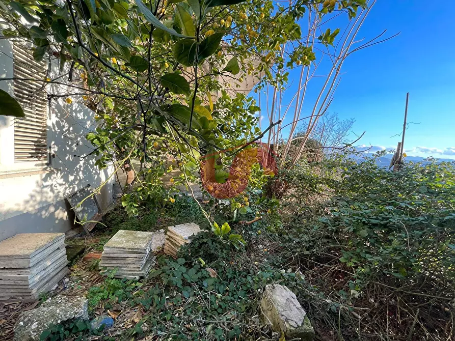 Immagine 23 di Casa semindipendente in vendita  in Via Umberto I° a Foglianise