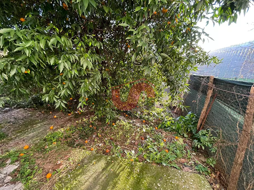 Immagine 3 di Casa semindipendente in vendita  in Via Umberto I° a Foglianise