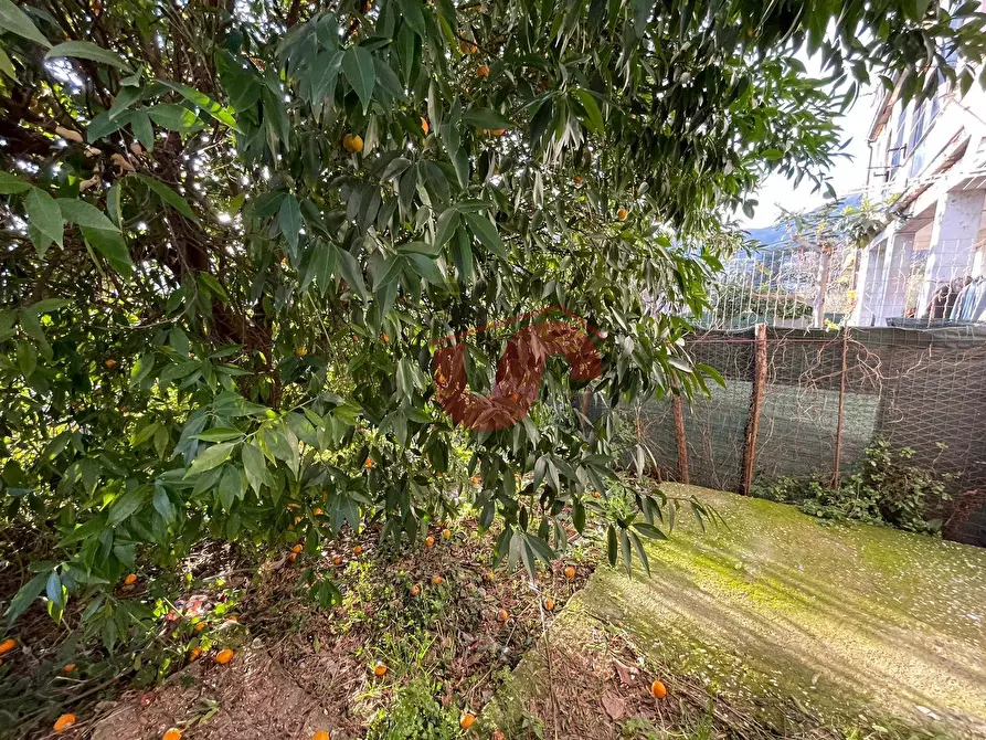 Immagine 4 di Casa semindipendente in vendita  in Via Umberto I° a Foglianise