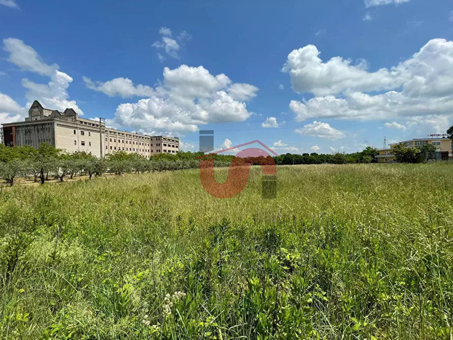 Immagine 16 di Locale commerciale in vendita  in Contrada Piano Cappelle snc a Benevento