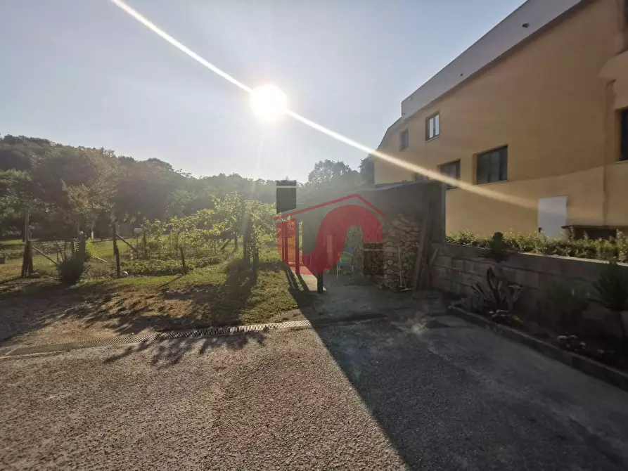 Immagine 5 di Capannone industriale in vendita  in S.S. APPIA snc a Benevento