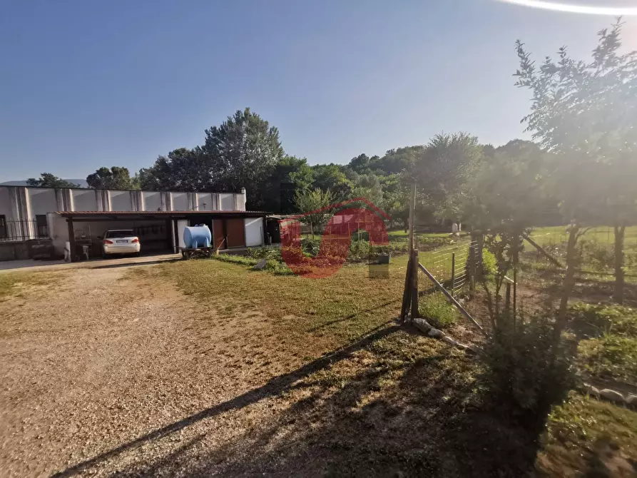 Immagine 3 di Capannone industriale in vendita  in S.S. APPIA snc a Benevento