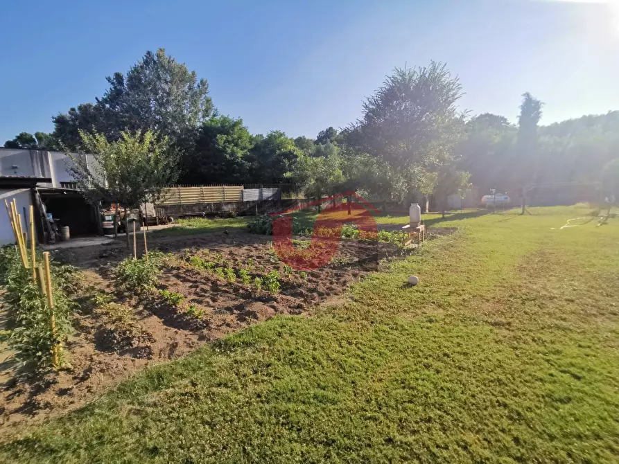 Immagine 2 di Capannone industriale in vendita  in S.S. APPIA snc a Benevento