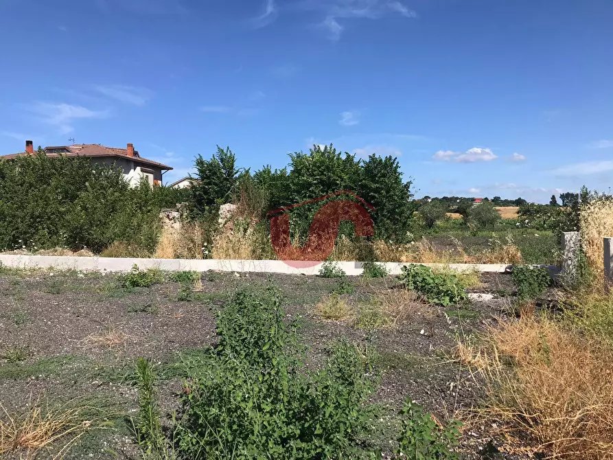 Immagine 4 di Casa indipendente in vendita  in Pietrelcina a Baselice