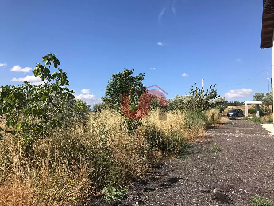 Immagine 5 di Casa indipendente in vendita  in Pietrelcina a Baselice