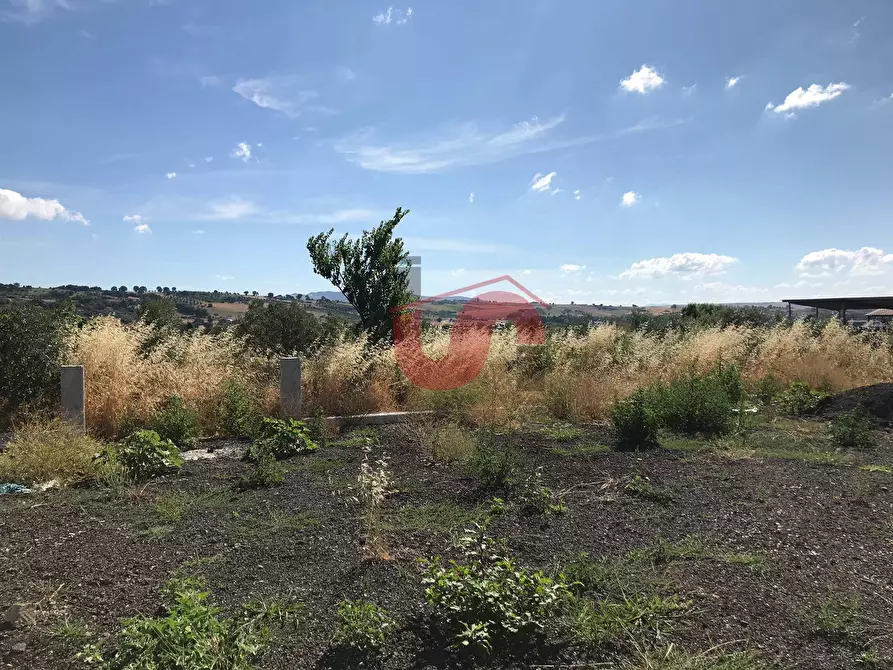 Immagine 6 di Casa indipendente in vendita  in Pietrelcina a Baselice