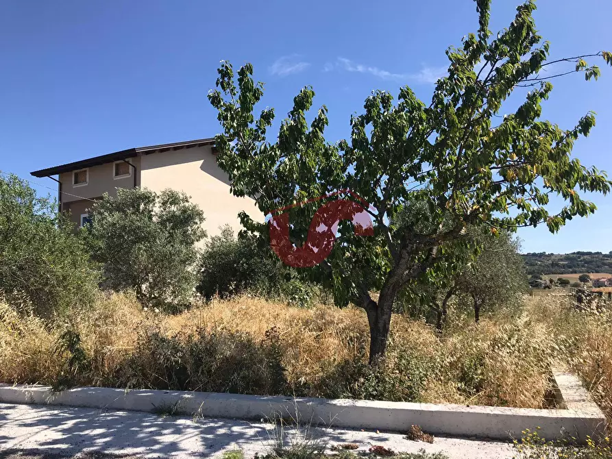 Immagine 7 di Casa indipendente in vendita  in Pietrelcina a Baselice