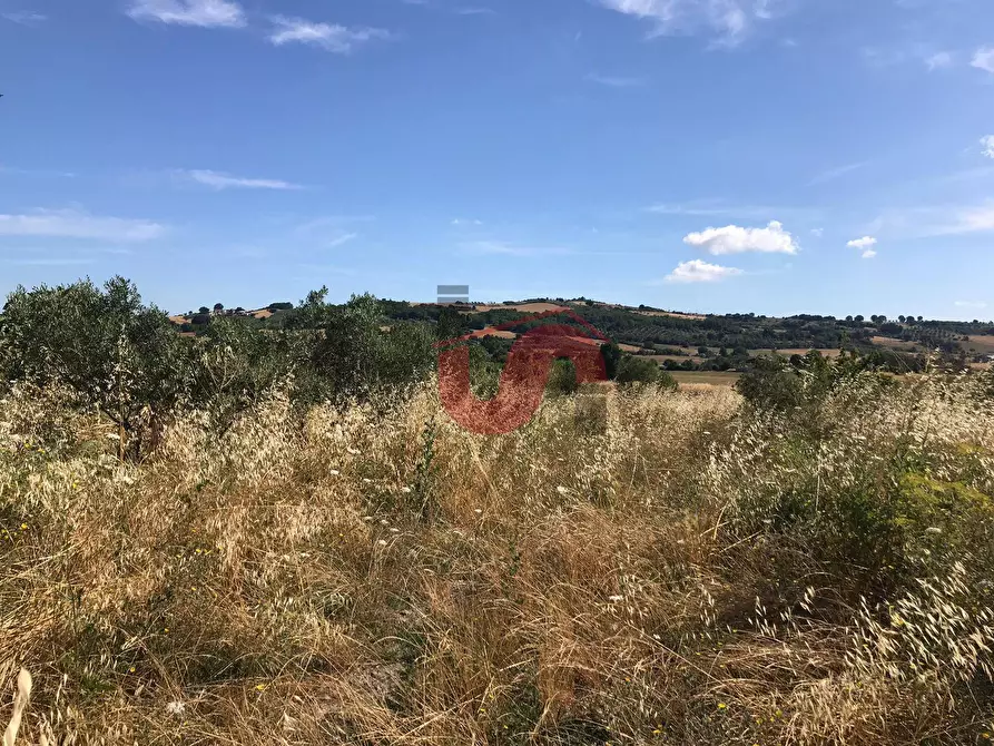 Immagine 8 di Casa indipendente in vendita  in Pietrelcina a Baselice