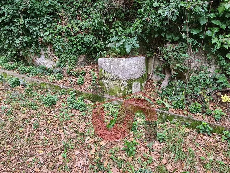 Immagine 35 di Villa in vendita  in Strada Provinciale Vitulanese snc a Apollosa