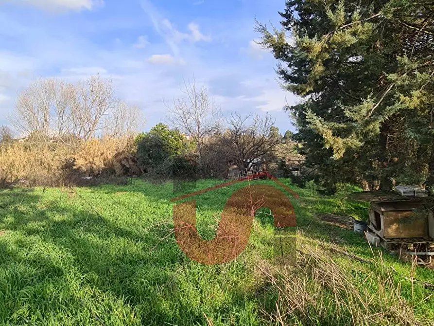 Immagine 32 di Locale commerciale in vendita  in Contrada San Chirico a Benevento