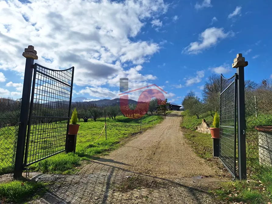 Immagine 2 di Terreno residenziale in vendita  in Contrada Rotola a Benevento