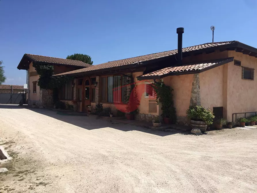 Immagine 10 di Casa indipendente in vendita  in Via Cesine snc a Calvi