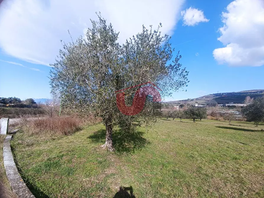 Immagine 4 di Locale commerciale in vendita  in Contrada Olivola a Benevento