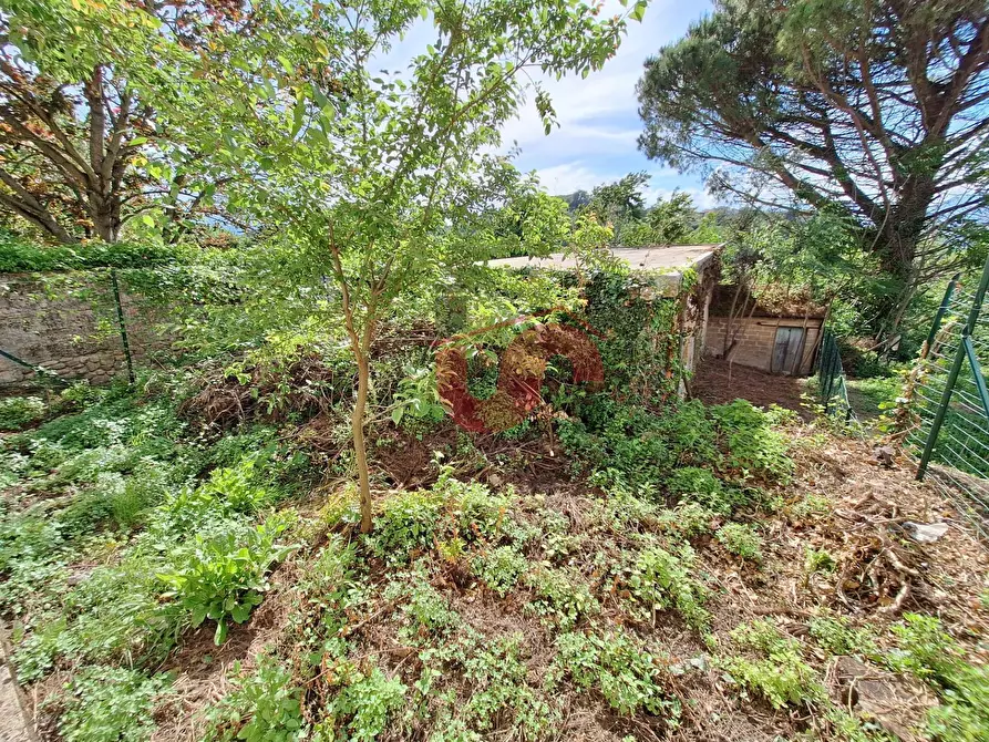 Immagine 28 di Casa semindipendente in vendita  in Contrada Cardilli a Arpaise