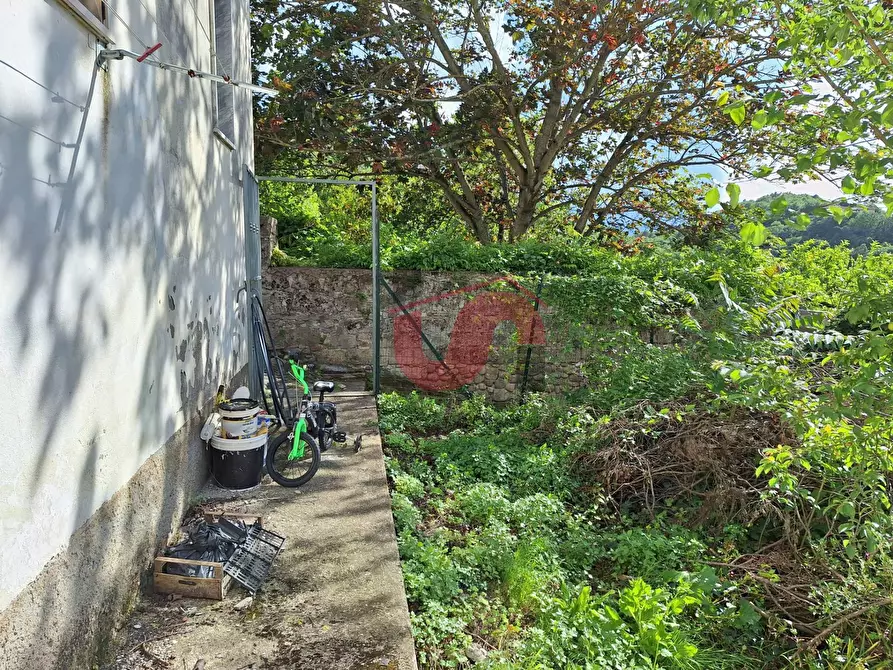 Immagine 6 di Casa semindipendente in vendita  in Contrada Cardilli a Arpaise