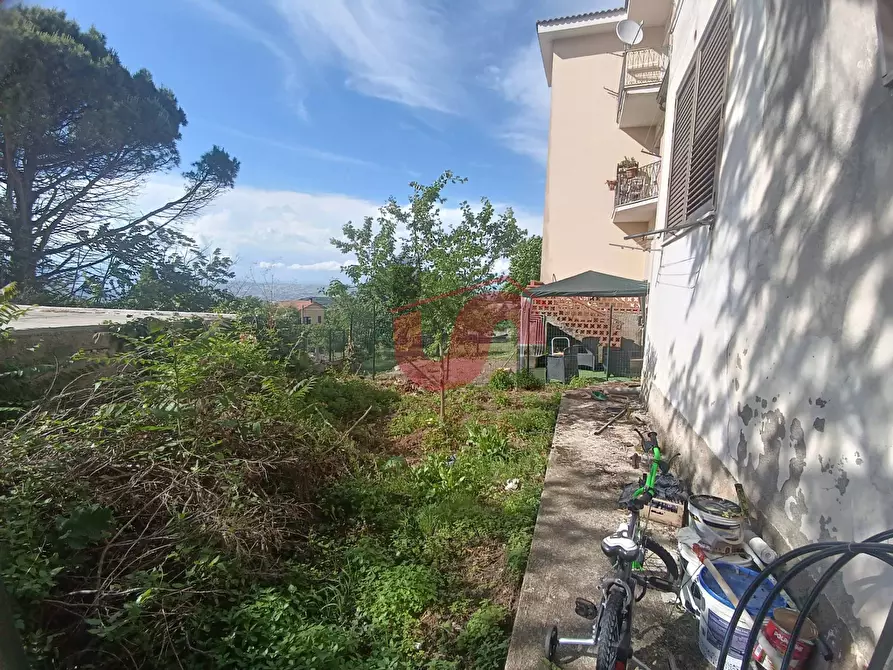 Immagine 3 di Casa semindipendente in vendita  in Contrada Cardilli a Arpaise