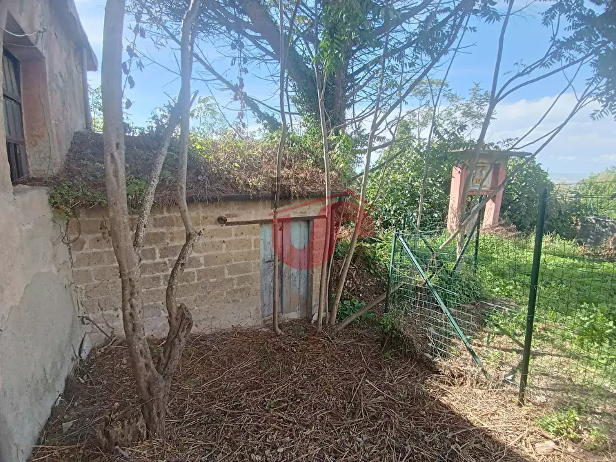 Immagine 29 di Casa semindipendente in vendita  in Contrada Cardilli a Arpaise