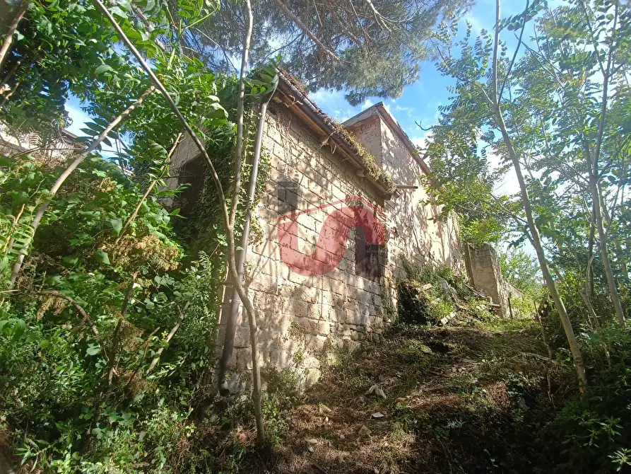 Immagine 30 di Casa semindipendente in vendita  in Contrada Cardilli a Arpaise