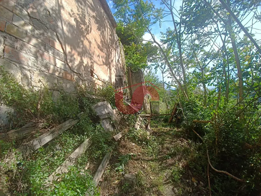 Immagine 32 di Casa semindipendente in vendita  in Contrada Cardilli a Arpaise