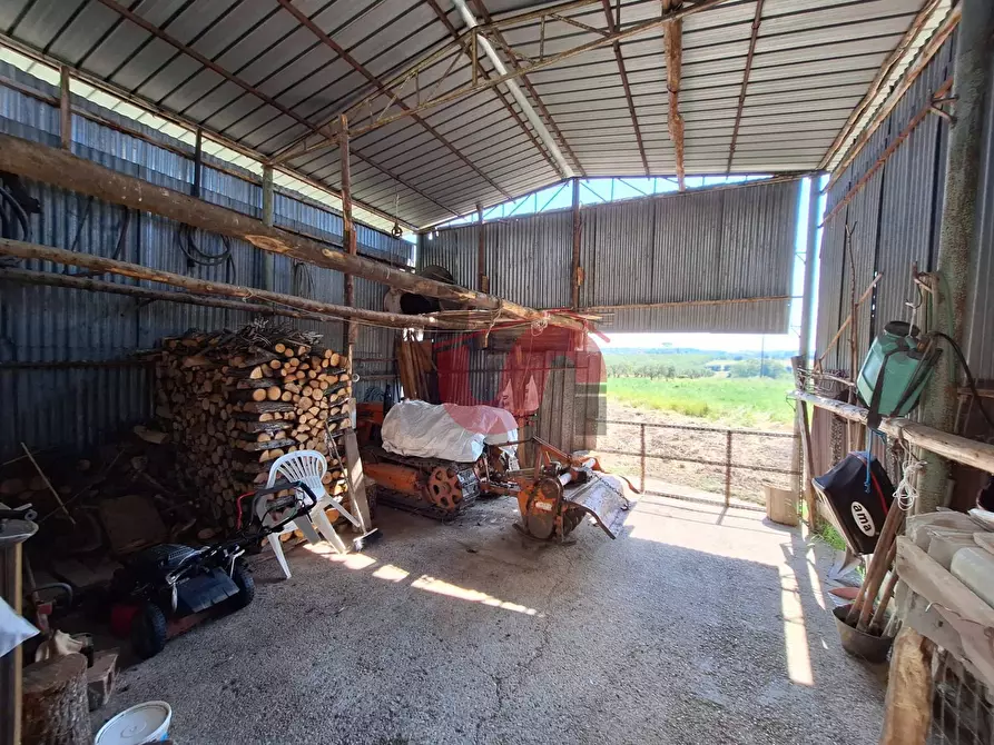 Immagine 52 di Casa indipendente in vendita  in Via Le Murate 10 a Benevento