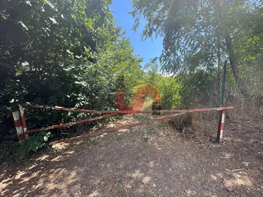 Immagine 3 di Terreno residenziale in vendita  in Via Manzoni a Arpaise
