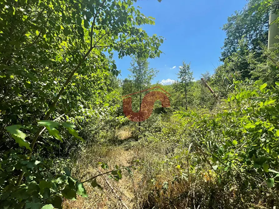 Immagine 4 di Terreno residenziale in vendita  in Via Manzoni a Arpaise