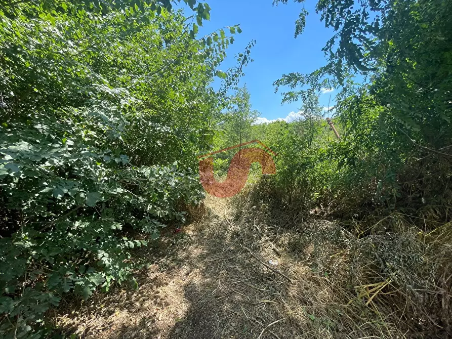 Immagine 5 di Terreno residenziale in vendita  in Via Manzoni a Arpaise