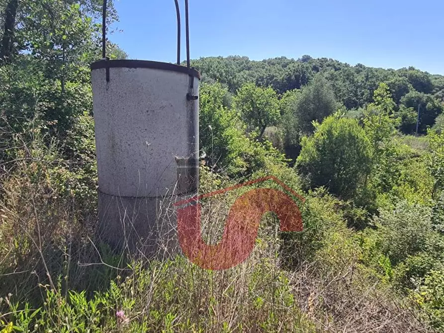 Immagine 2 di Terreno agricolo in vendita  in Contrada Mosti snc a Benevento